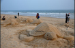 Sand art on Save Turtle by Sand artist Manas Kumar Sahoo - 2013 eodisha.org