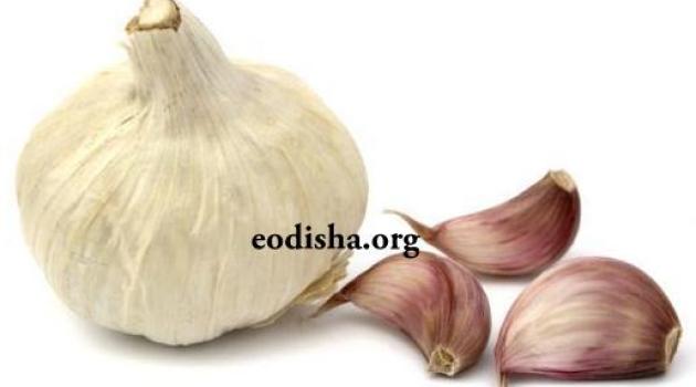 10 Health Benefit Of Garlic