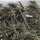 phailin