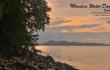 Photo by Anupam Patnaik