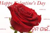 mun tuma pain odia vanentine wallpaper
