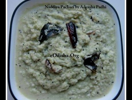 Naddiya Pachuri by Adyasha Padhi