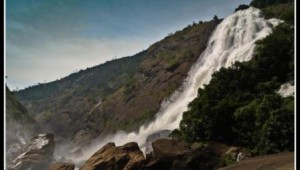 Pic by Partha Pratim Patra