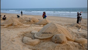 Sand art on Save Turtle by Sand artist Manas Kumar Sahoo - 2013 eodisha.org