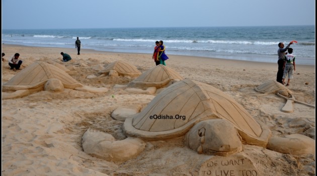 Sand art on Save Turtle by Sand artist Manas Kumar Sahoo - 2013 eodisha.org
