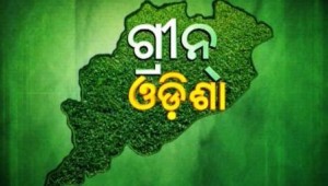 GREEN ODISHa