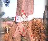 j_nabakalebara