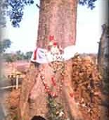 j_nabakalebara