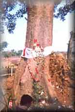 j_nabakalebara