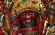 MAA