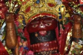 MAA