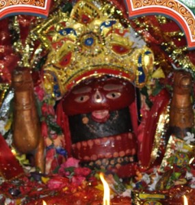 MAA