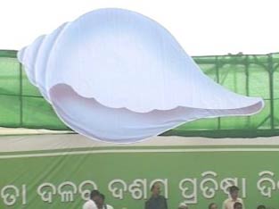 BJD