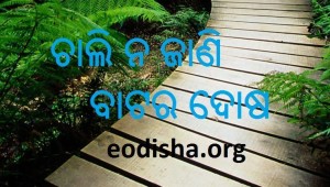 dhaga