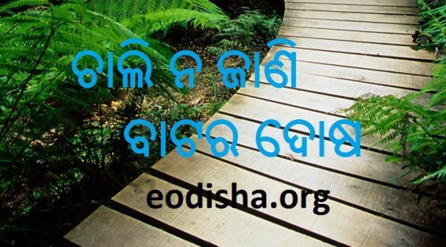 dhaga