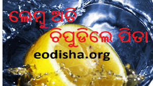 Katha O Natha