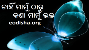Katha O Natha