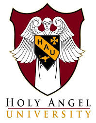 eOdisha.org jobs of odishaHoly_angel_Convent_school